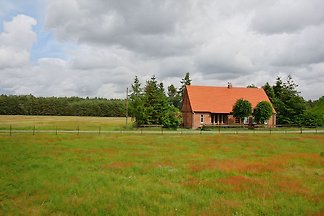 Ferienhaus Hohenwoos Elbtalaue