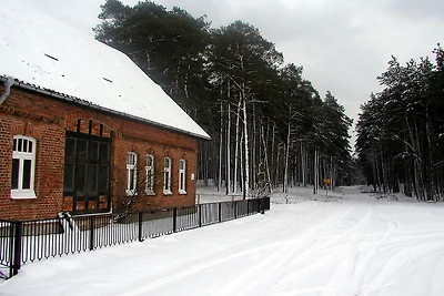 Ferienhaus Waldhof