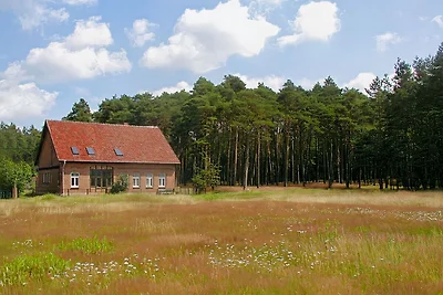 Ferienhaus Waldhof