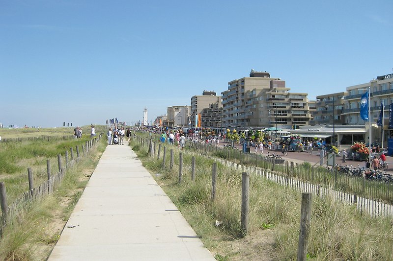 Städtische Küstenpromenade mit Straßenlaterne und Pflanzen.