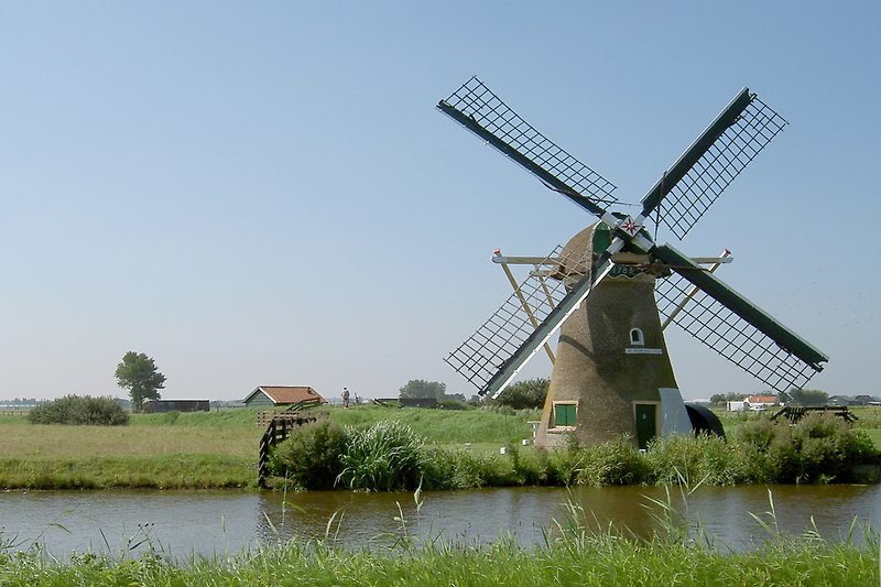 Windmühle am See mit grüner Landschaft.