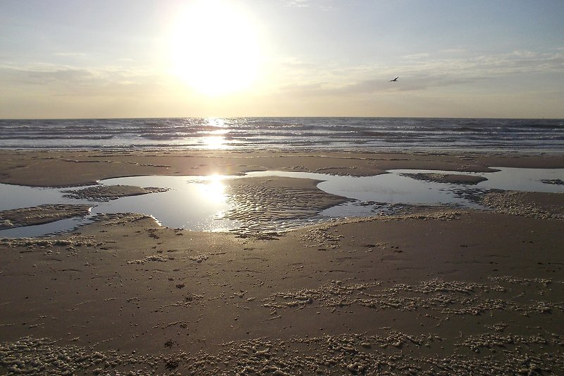 Winterlicher Sonnenuntergang am ruhigen Meer mit Strand und Horizont.