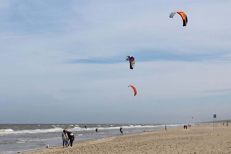 Kitesurfen am Strand mit blauem Himmel.