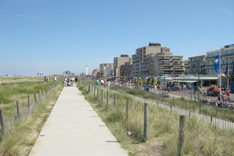 Städtische Küstenpromenade mit Straßenlaterne, Gehweg und Meerblick.