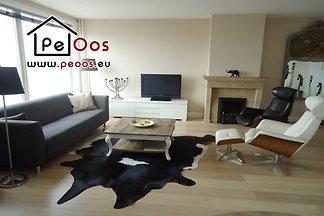 cebra