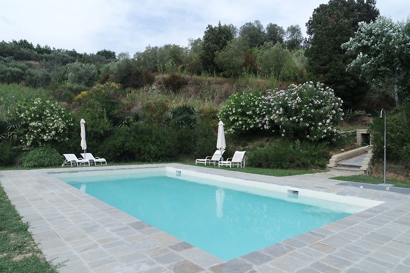 Pool umgeben von Olivenbäumen und  gespeist mit mineralhaltigen Wasser unserer Quelle