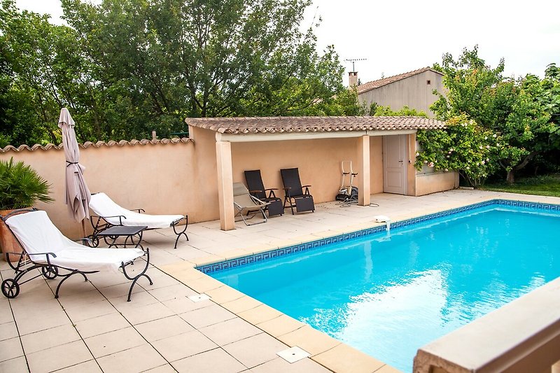 Blick von der überdachten Terrasse zum Poolbereich mit luxuriösen Liegestühlen, Palme und Rosen
