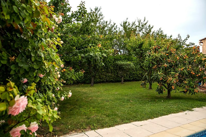 Verwunschener Garten mit Obstbäumen und Rasen mit automatischer Bewässerung.