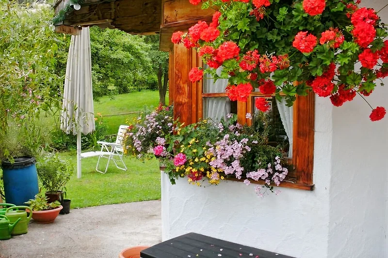 Der Garten