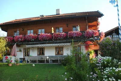 Ferienhaus  Alt / Wohnung Enzian