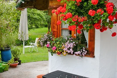Ferienhaus  Alt / Wohnung Enzian