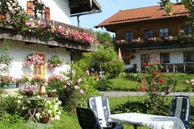 Ferienhaus  Alt / Wohnung Enzian