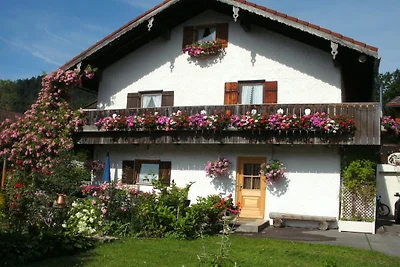 Haus Breitenstein / Woh. Löwenzahn