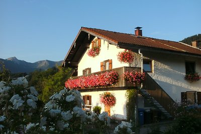 Haus Breitenstein / Woh. Löwenzahn