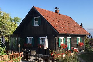 Kuća za odmor Dopust za oporavak Ehrenhausen