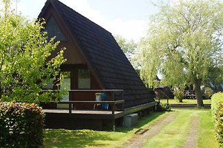 Igelkolbenhaus