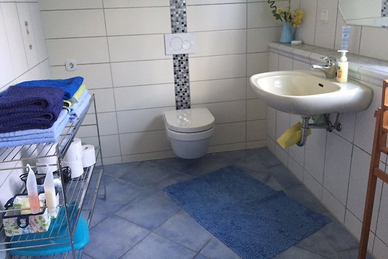 Łazienka dla gości z prysznicem