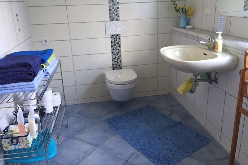 The guest bathroom with shower.