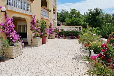 3 Palme Crikvenica