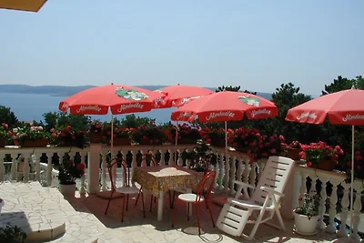 3 Palme Crikvenica