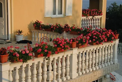3 Palme Crikvenica