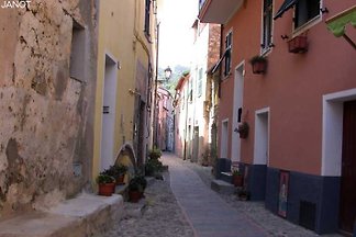 Casa Janot