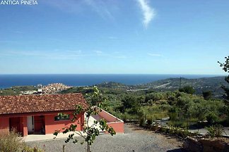 Antica Pineta