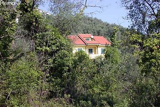 Remo - La Sciorta