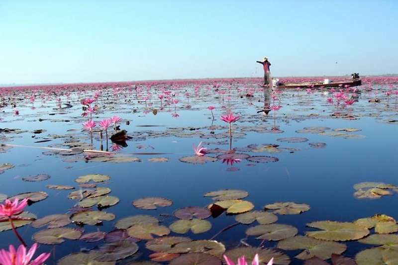 The Red Lotus lake is 5 minutes away