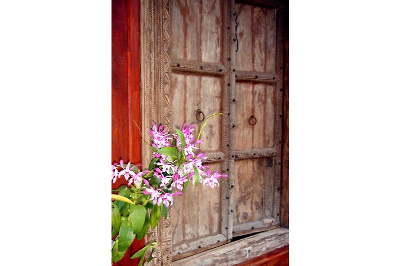 Antique front door