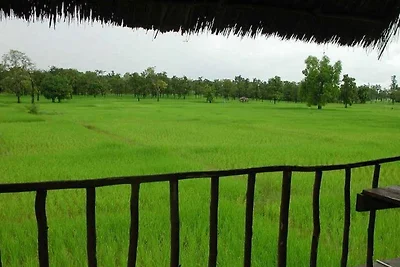 Gecko Villa