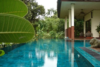 Gecko Villa