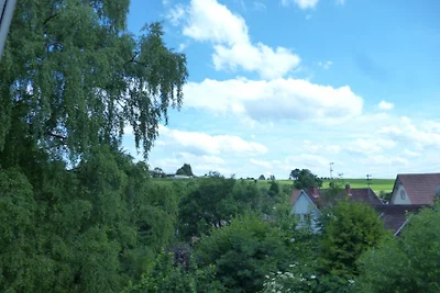 Vakantiehuis Ontspannende vakantie Freudenstadt