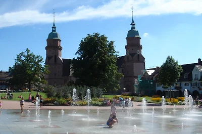 Vakantiehuis Ontspannende vakantie Freudenstadt