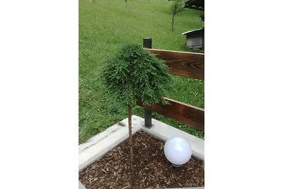 Ferienhaus Obersäuling