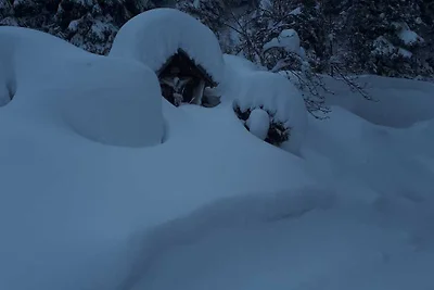Ferienhaus Obersäuling