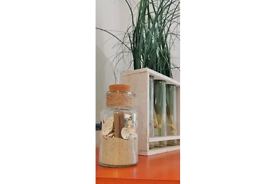 Fewo Strandläufer Usedom im Grünen