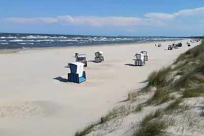 Strand-Ferienhaus auf Usedom