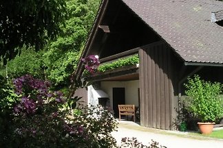 Ferienhaus Untermurnthal