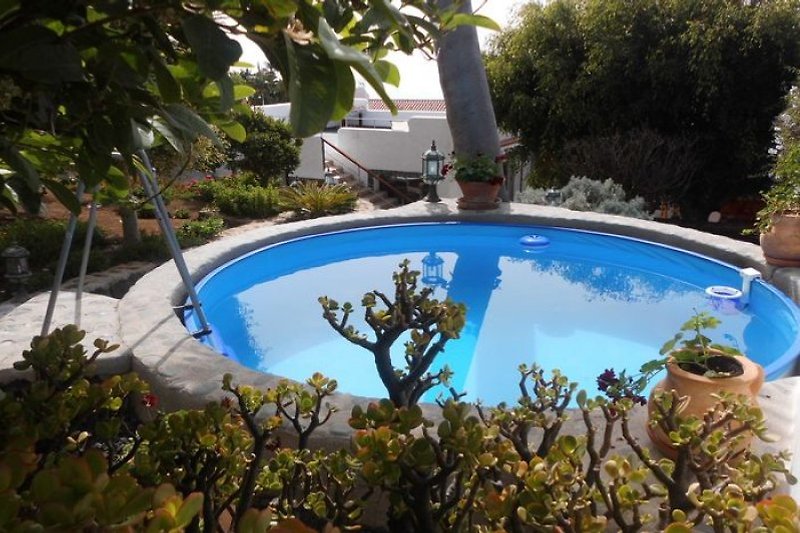 Der Pool- Finca Guave