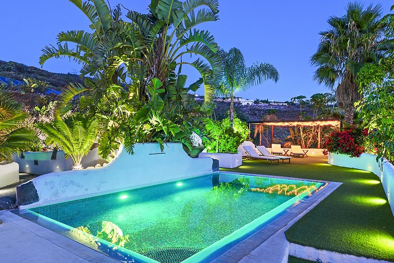 Schwimmbad, grüne Pflanzen und Outdoor-Möbel in einem Ferienhaus.
