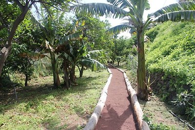 Finca La Luna in Tenerife