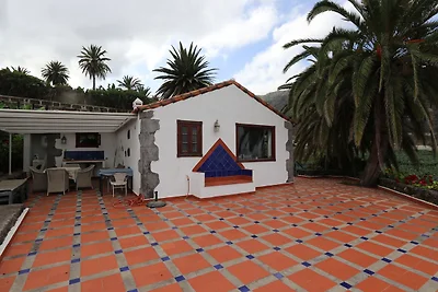 Finca Don Quijote Abajo