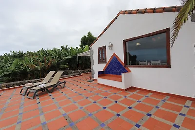 Finca Don Quijote Abajo