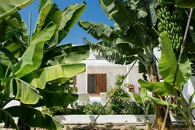 Villa Ines mit Pool-Playa San Juan