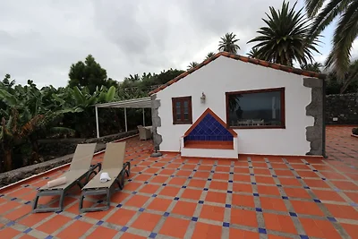 Finca Don Quijote Abajo