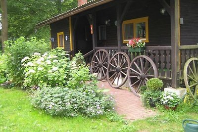 Das Eulenhaus Gohlau 20A