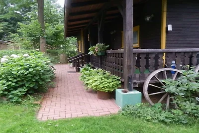 Das Eulenhaus