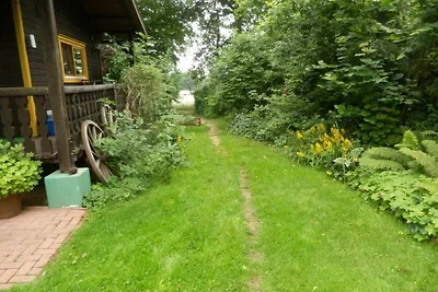 Das Eulenhaus