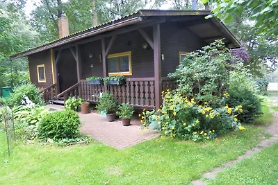 Das Eulenhaus